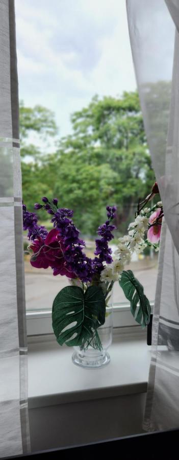 Elena Flat Orchidee Duisburg Zentrum Экстерьер фото